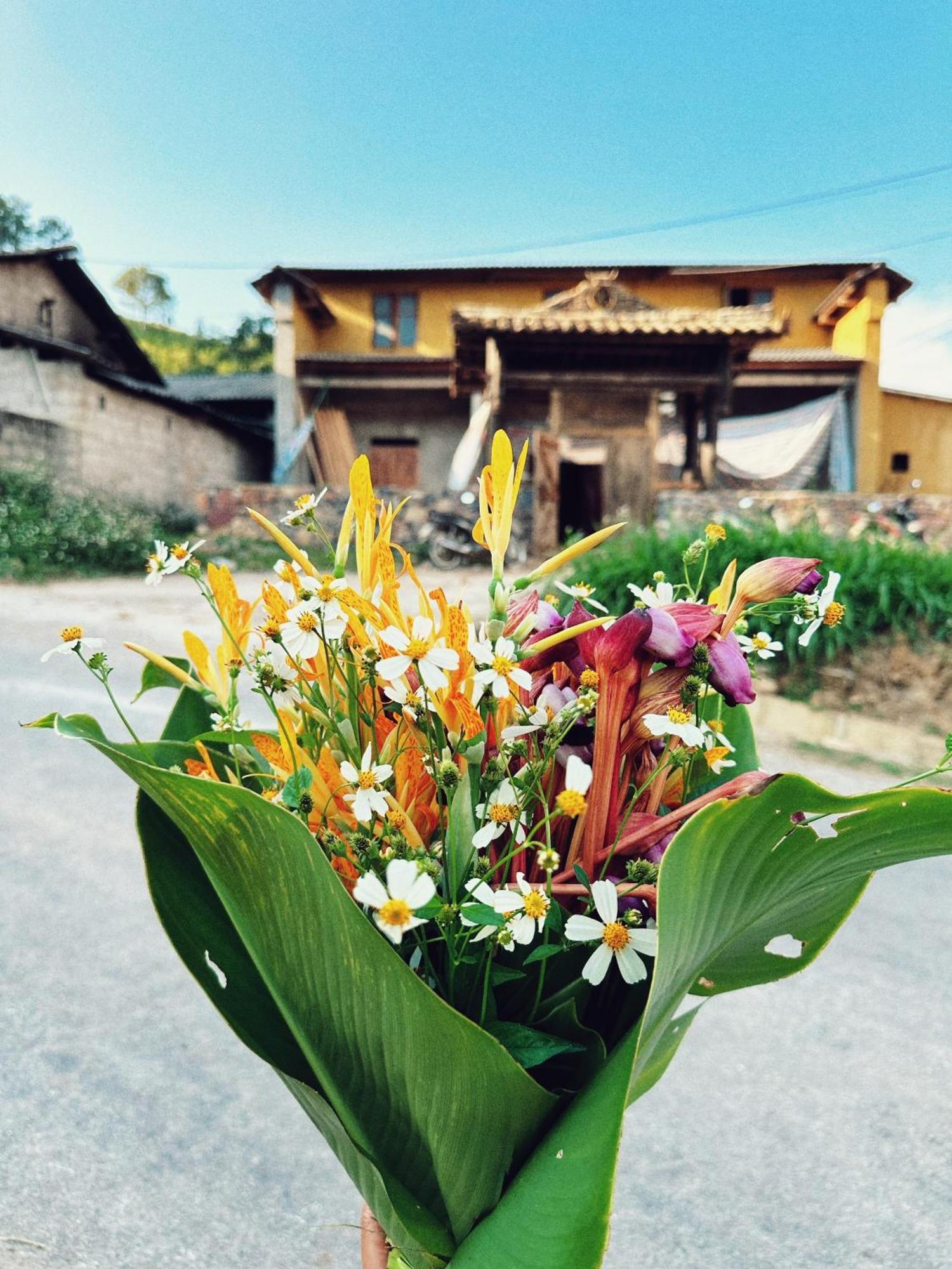 Maison De Hill Home Dong Van  Dış mekan fotoğraf
